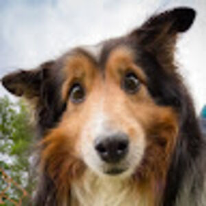 Meet your Posher, André